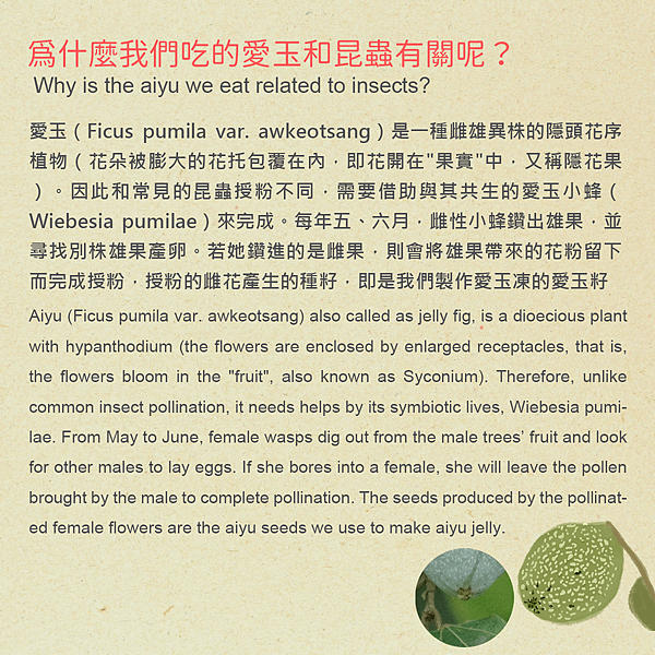 生物多樣性雙語貼文02.png