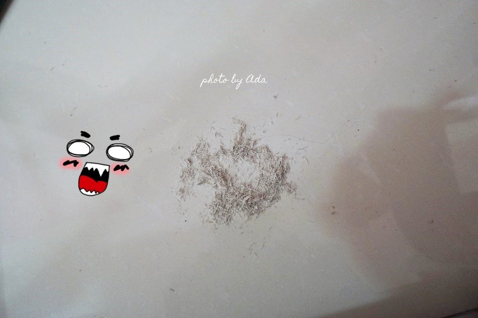 18.JPG