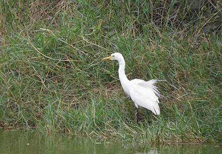 IMG_0628a.jpg