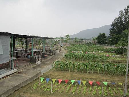 樂趣田園