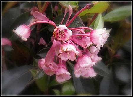 IMG_3355a.jpg