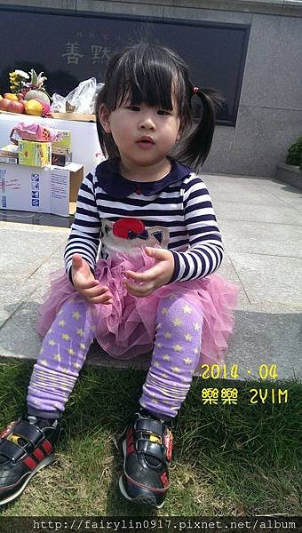 IMAG5469