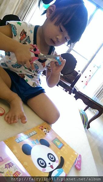 IMAG0812