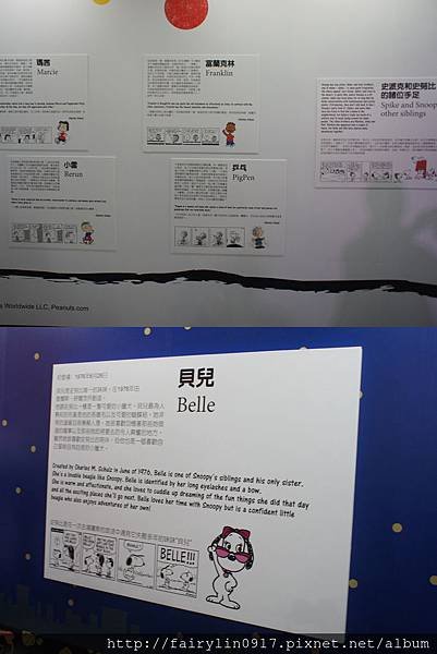 DSC09309