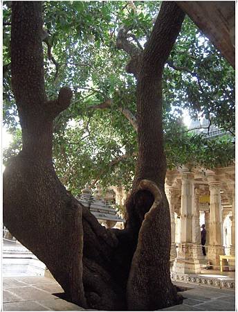 jain temple 4.jpg