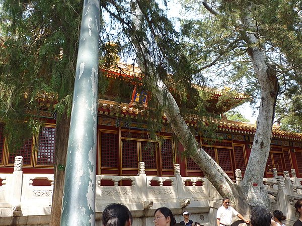 P1010884.JPG
