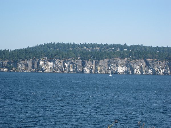 IMG_4453.JPG