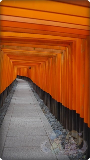 伏見稻荷神社．千本鳥居