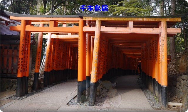 伏見稻荷神社．千本鳥居