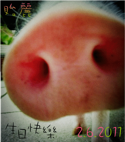 6de39d21jw1dhrcixjuwtj_副本.gif