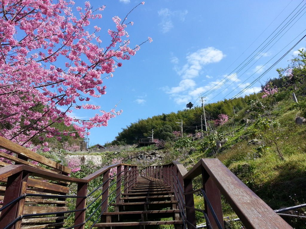 20150226_102307
