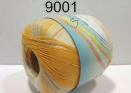 9001.jpg