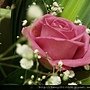 DSC08440_調整大小.JPG