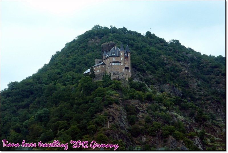 貓堡Burg Neukatzenelnbogen  Burg Katz