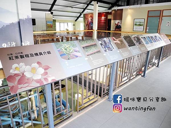 【南投埔里景點】廖鄉長紅茶故事館 免費參觀 IG打卡熱點 日月潭台茶18號 紅玉紅茶 紅茶茶菁 南投伴手禮 (14).JPG