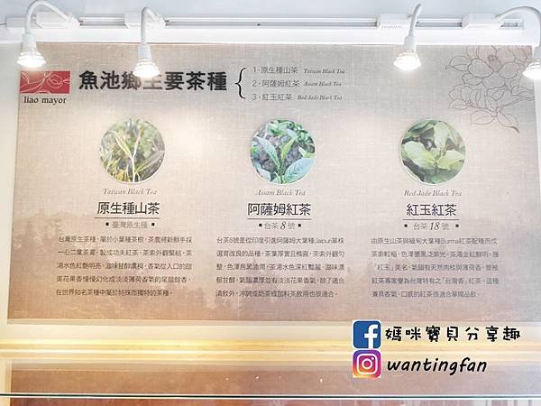 【南投埔里景點】廖鄉長紅茶故事館 免費參觀 IG打卡熱點 日月潭台茶18號 紅玉紅茶 紅茶茶菁 南投伴手禮 (15).JPG