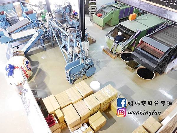 【南投埔里景點】廖鄉長紅茶故事館 免費參觀 IG打卡熱點 日月潭台茶18號 紅玉紅茶 紅茶茶菁 南投伴手禮 (18).JPG