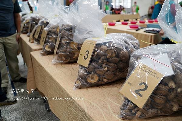 【宜蘭南澳】南澳香菇野餐節 全國段木香菇評鑑競賽 了解台灣特色段木香菇的文化與故事 (11).JPG