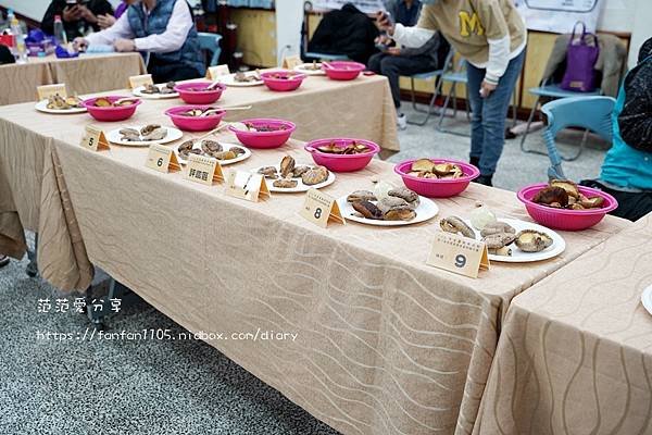 【宜蘭南澳】南澳香菇野餐節 全國段木香菇評鑑競賽 了解台灣特色段木香菇的文化與故事 (17).JPG