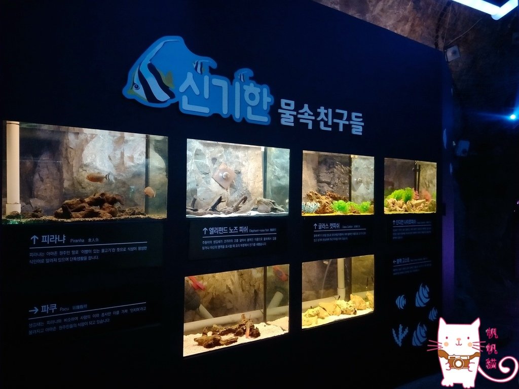 IMG20170413132918.jpg