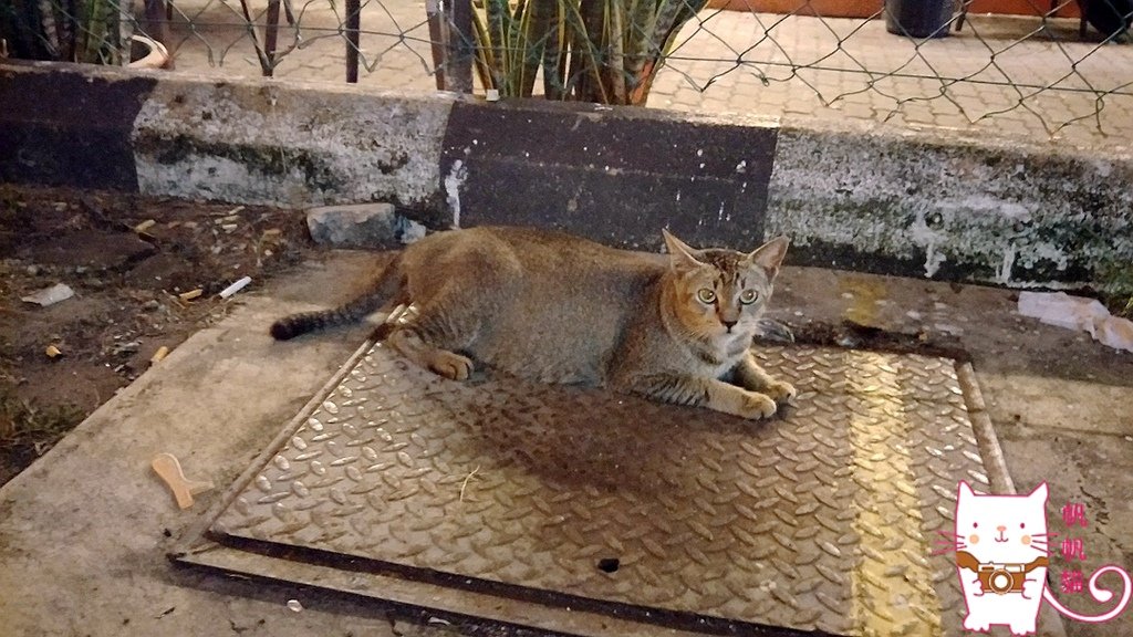 IMG20171031221051