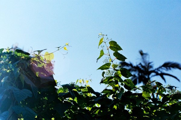 AE1-Negative0-34-30A(1).jpg