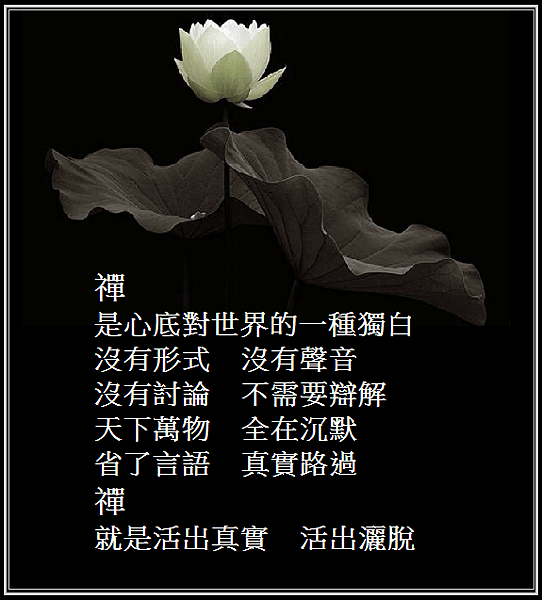 新禪境之美美.png