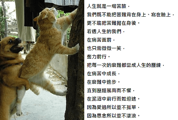 心窗小語二.png