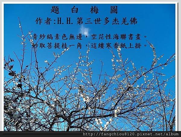 H.H.第三世多杰羌佛藝術－詩詞歌賦欣賞-題白梅圖