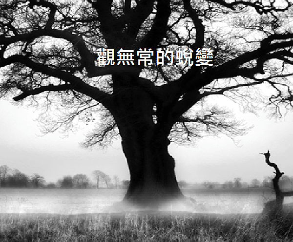 未命名.png