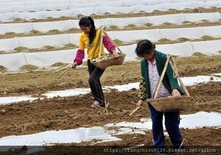 坎坷的經驗讓我思考：命運是什麼？ 誰在掌控？