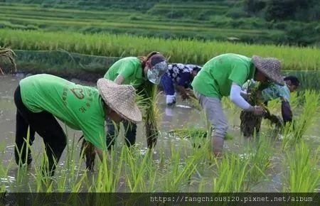 坎坷的經驗讓我思考：命運是什麼？ 誰在掌控？