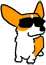 070816b[1].gif