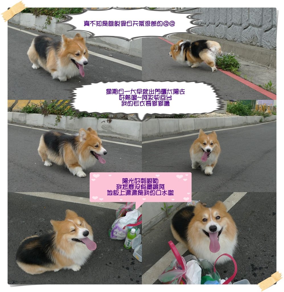 TT.jpg