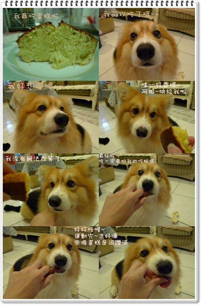 yy.jpg