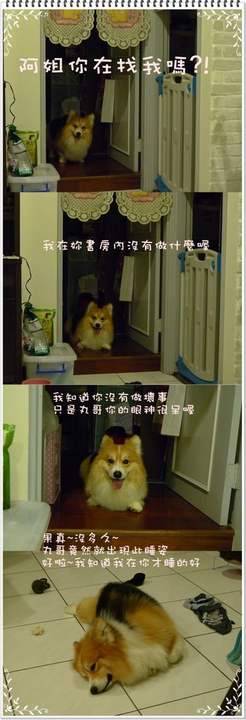 vv.jpg