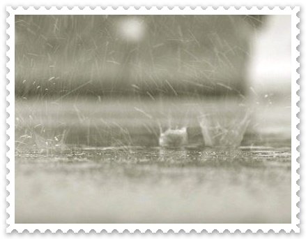 雨1.jpg