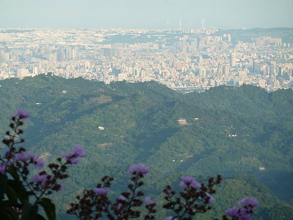 20120713法蝶早晨 001