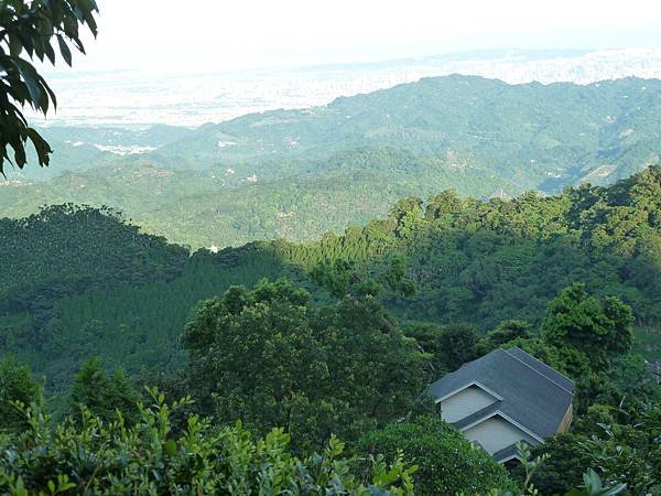 20120713法蝶早晨 032