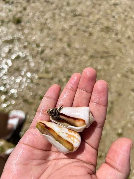 為什麼是沖繩??