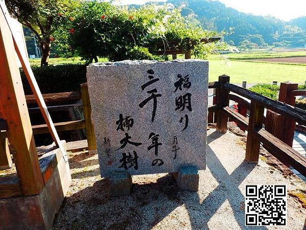 武雄大楠9-石上日文商務翻譯.JPG
