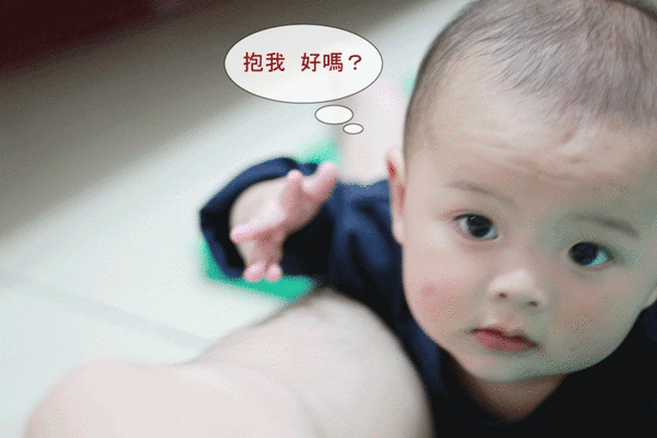 迪迪撒嬌抱抱.gif