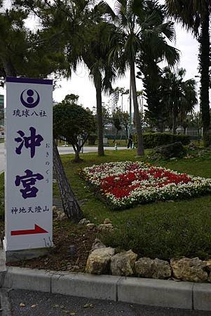 P1110835.JPG