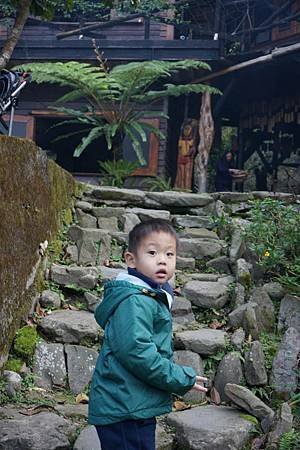 DSC00995.jpg
