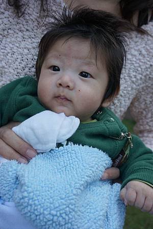 DSC01031.jpg