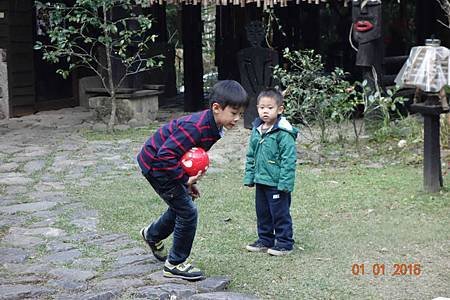 DSC07262.jpg