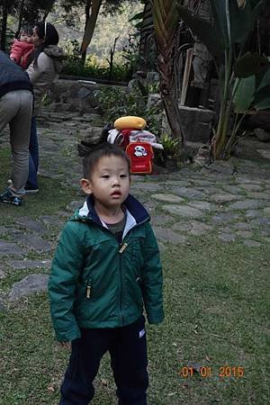 DSC07264.jpg