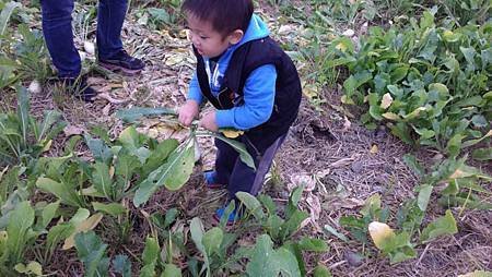 2015-01-25 14.50.00.jpg
