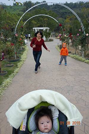 DSC08887.jpg