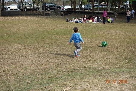 DSC09150.jpg